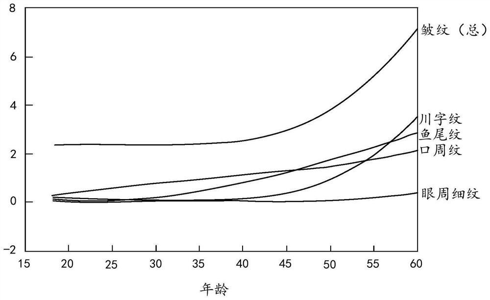 Skin local state database construction method, electronic equipment and storage medium