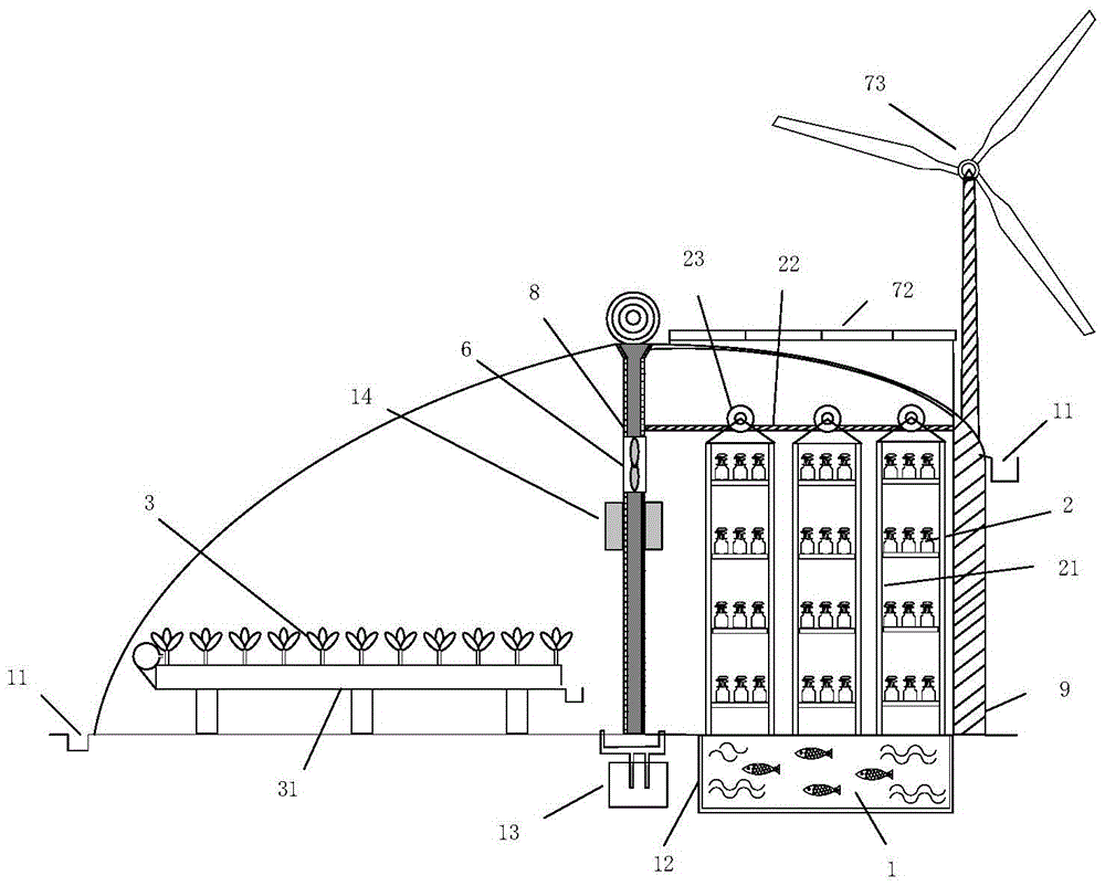 Aquaculture Edible Fungi Symbiosis System in Greenhouse