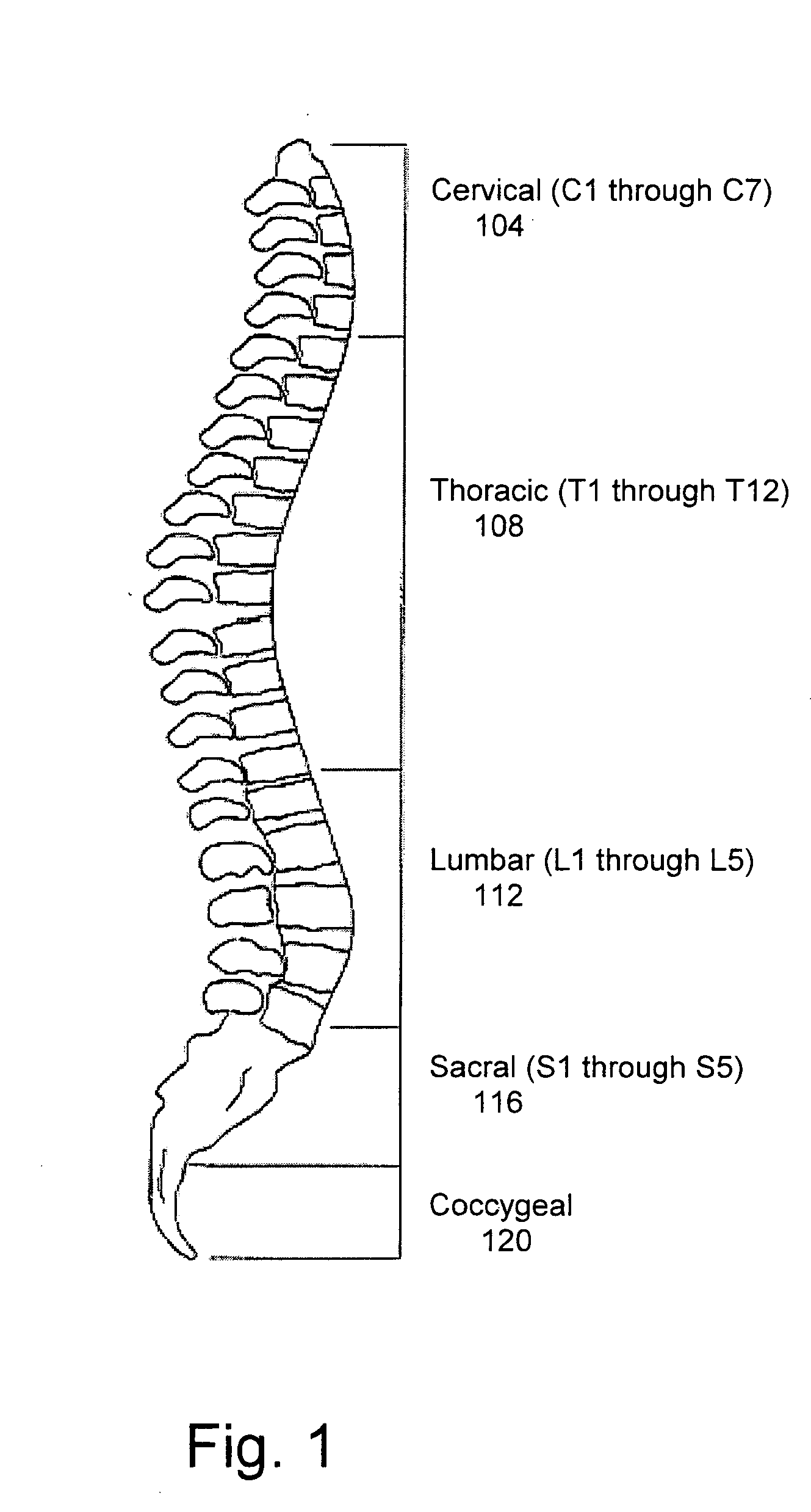 Methods and apparatus for provision of therapy to adjacent motion segments