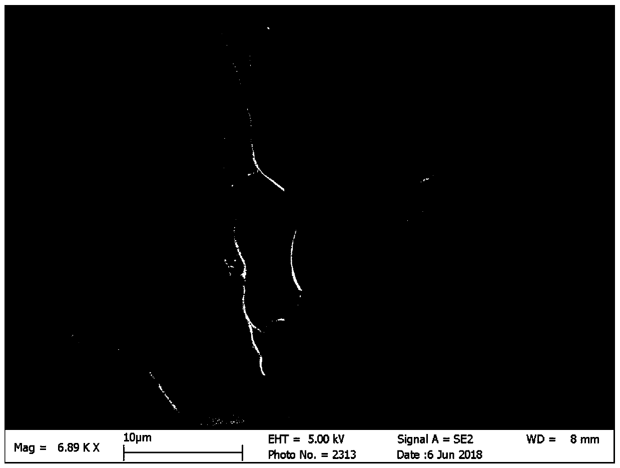 Preparation method and application of GelMA hydrogel for locally slow-releasing Abaloparatide or related polypeptides