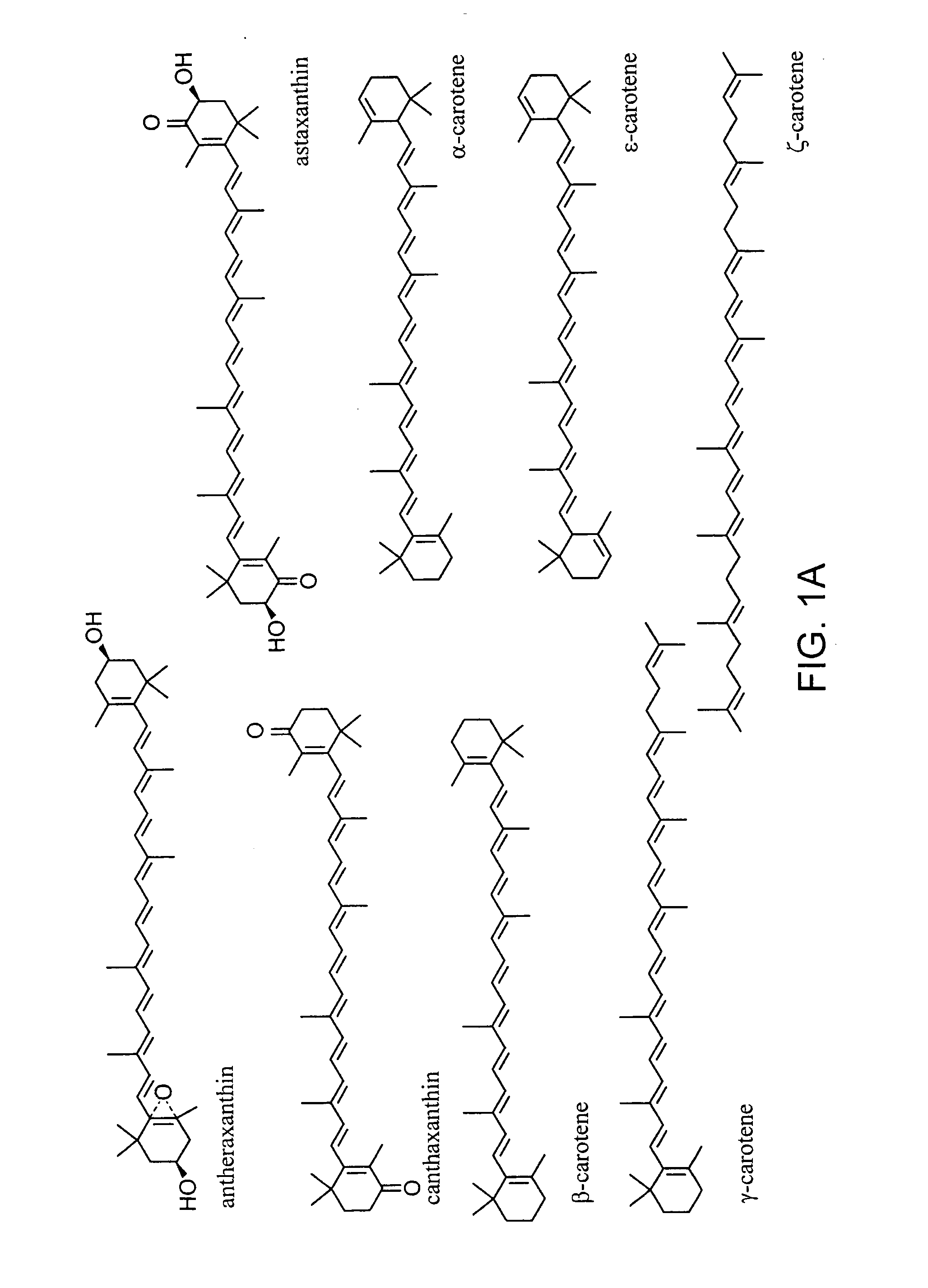 Production of carotenoids in oleaginous yeast and fungi