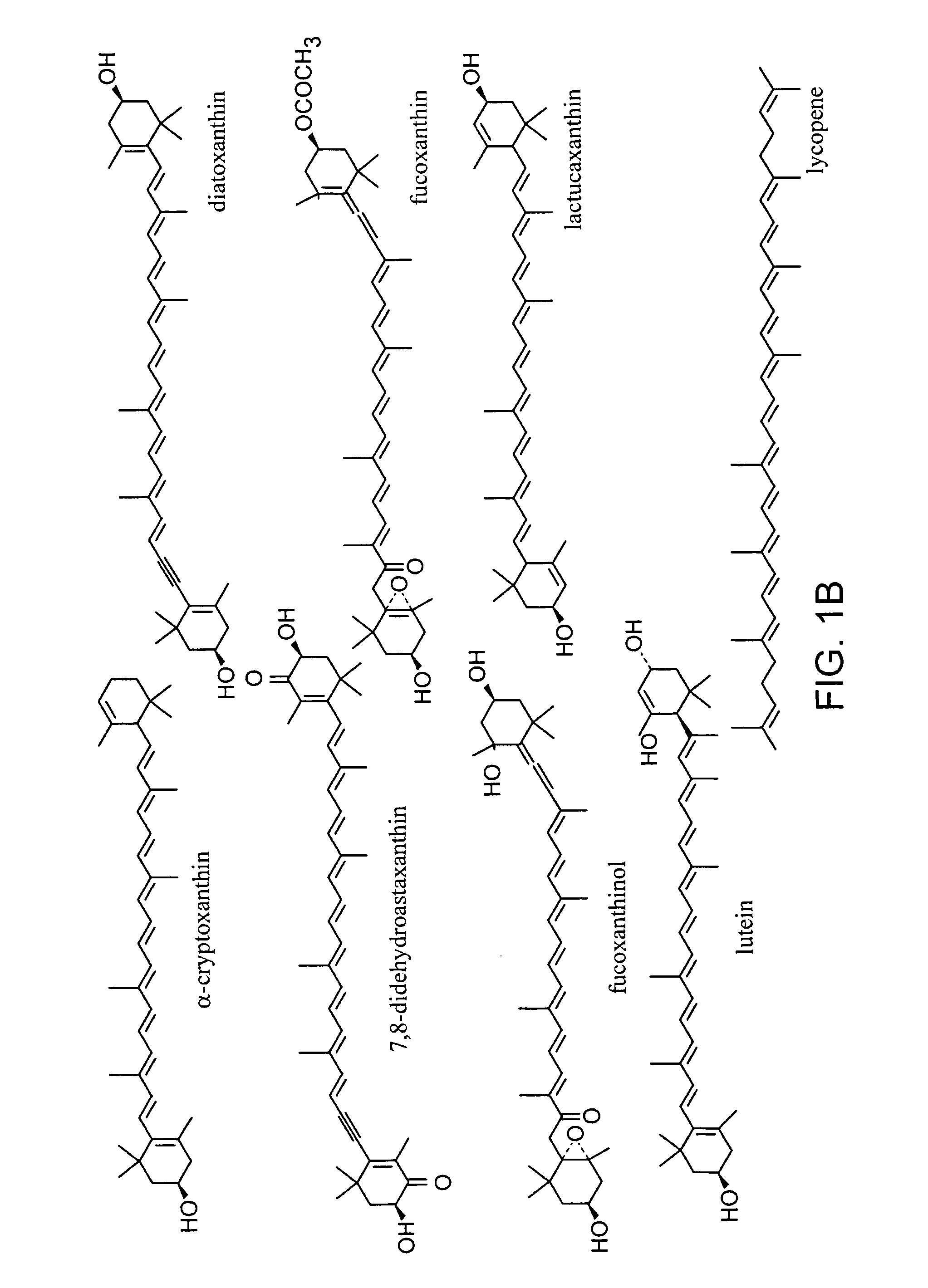 Production of carotenoids in oleaginous yeast and fungi