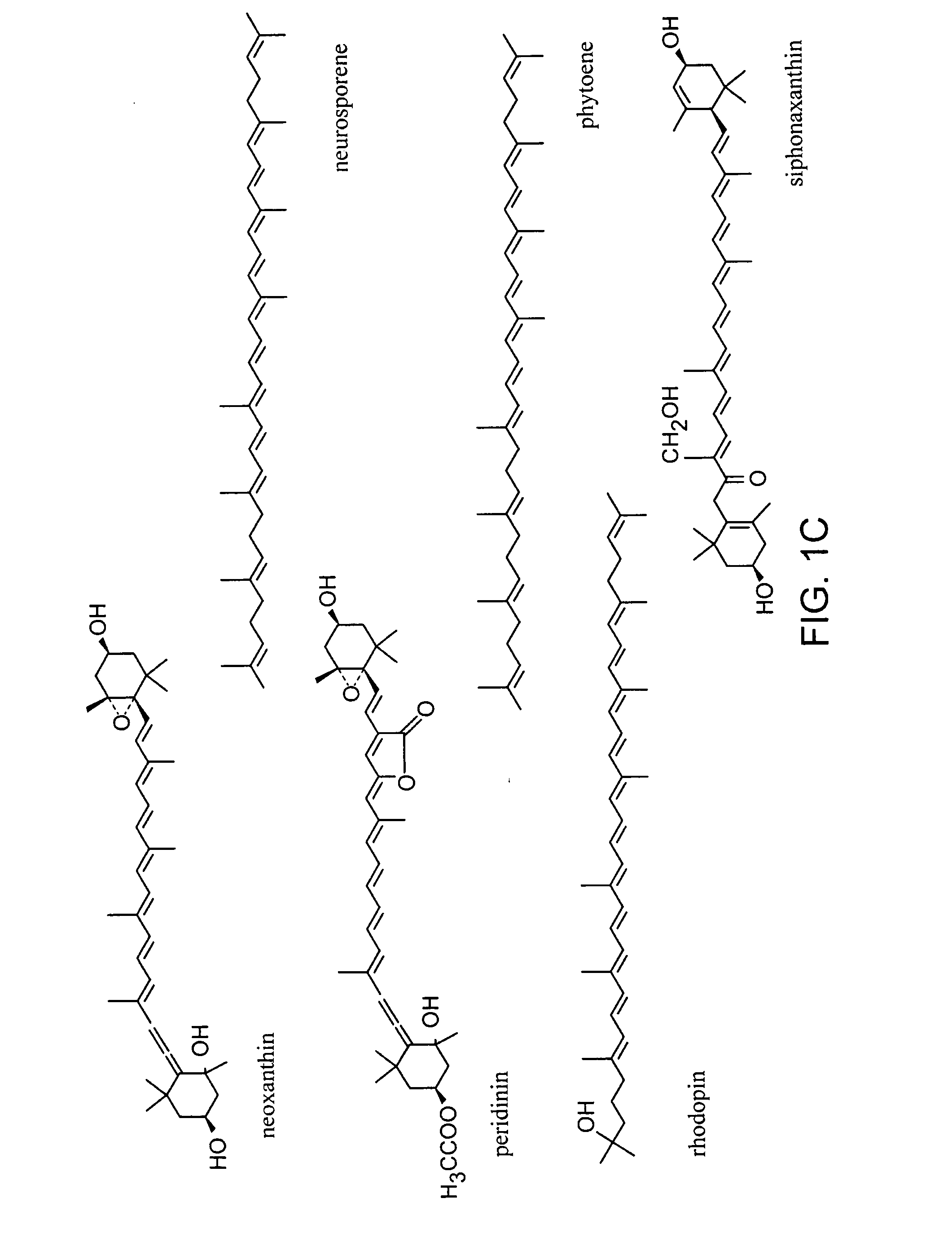 Production of carotenoids in oleaginous yeast and fungi