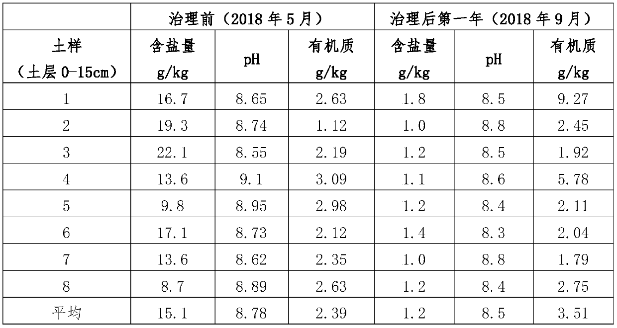 Mudflat saline and alkaline land paddy field soil improvement agent and preparing method thereof