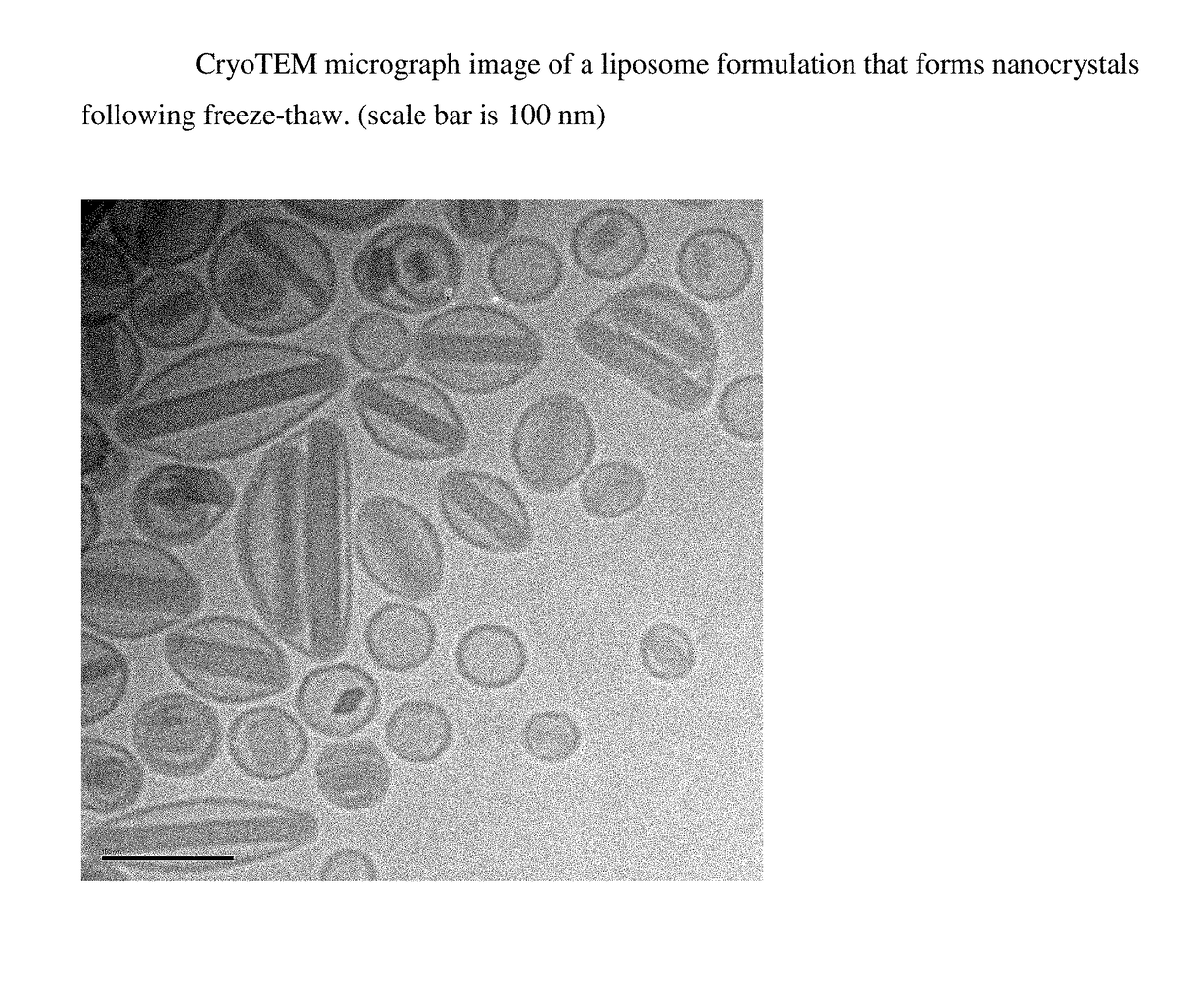 Liposomal formulations that form drug nanocrystals after freeze-thaw