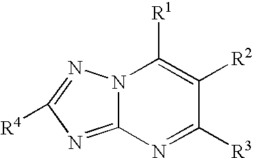 Process for the preparation of tubulin inhibitors