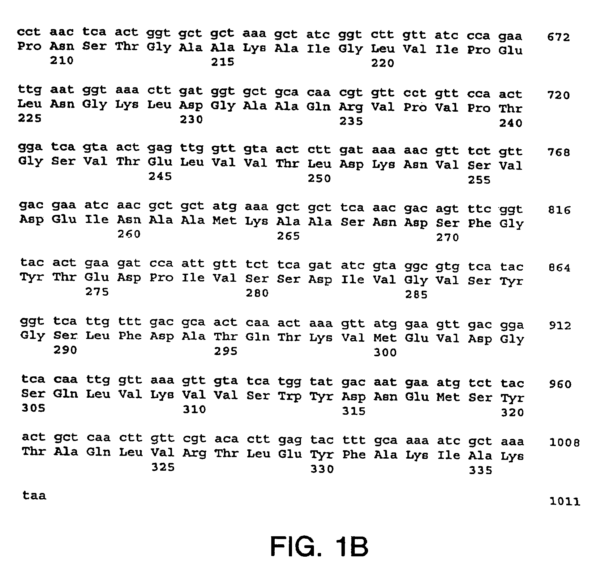 Immunization of dairy cattle with GapC protein against <i>Streptococcus </i>infection