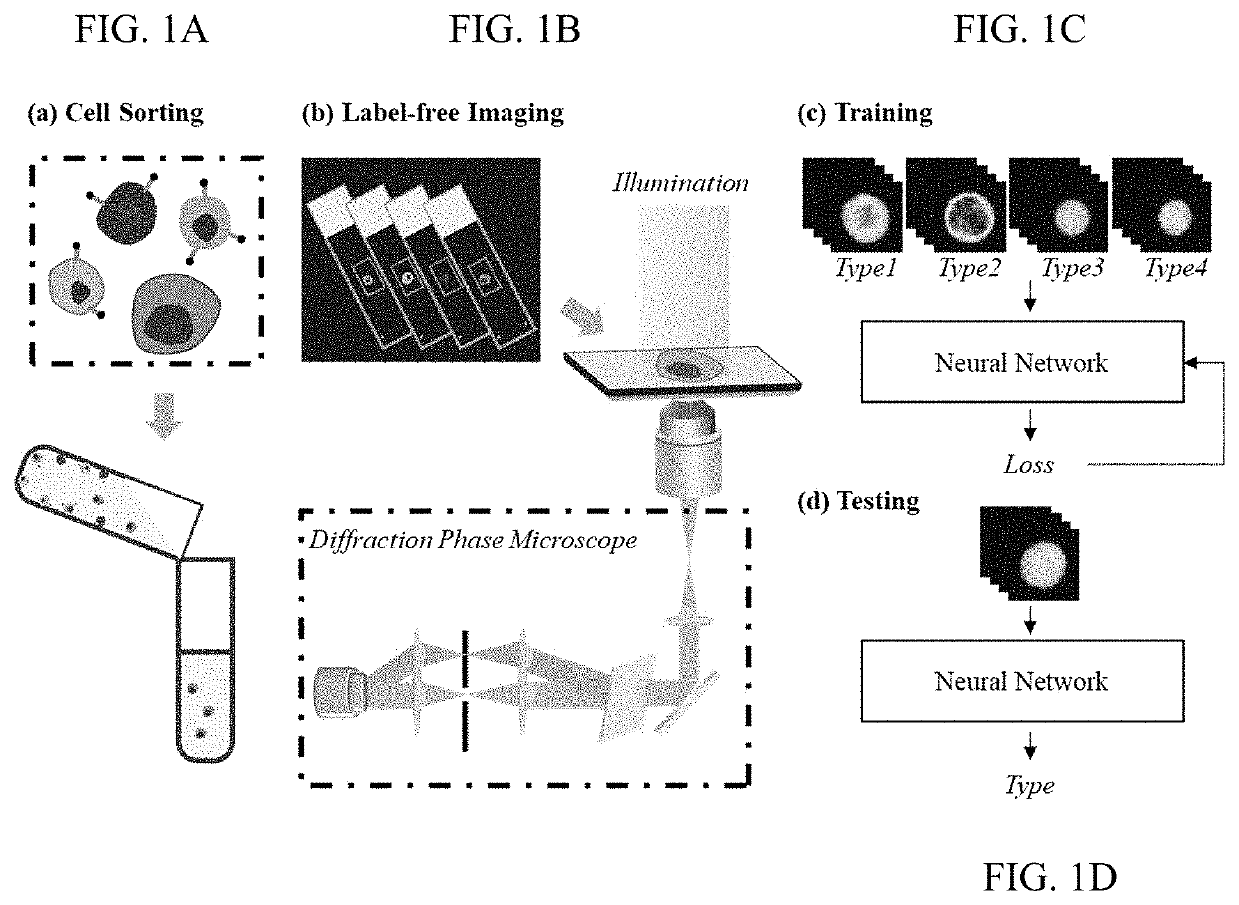 Artificial intelligence enabled reagent-free imaging hematology analyzer