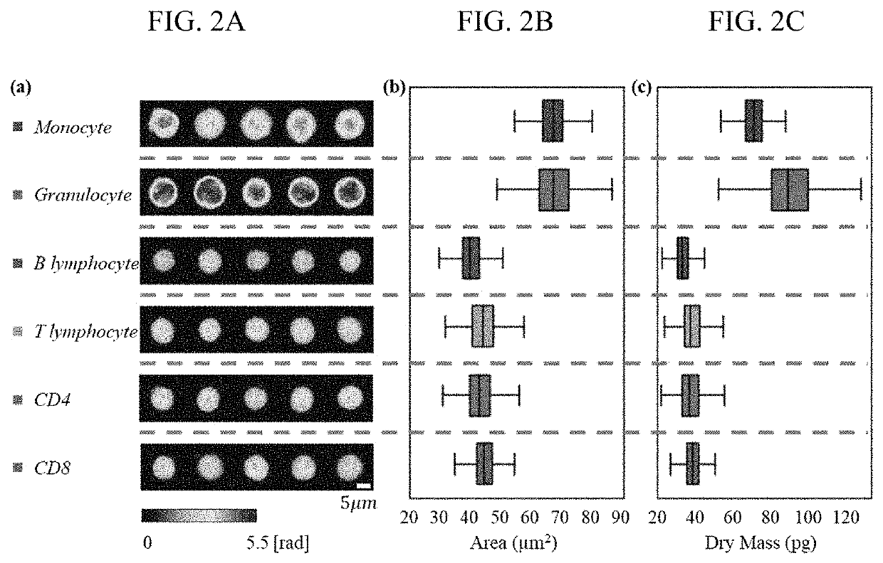 Artificial intelligence enabled reagent-free imaging hematology analyzer