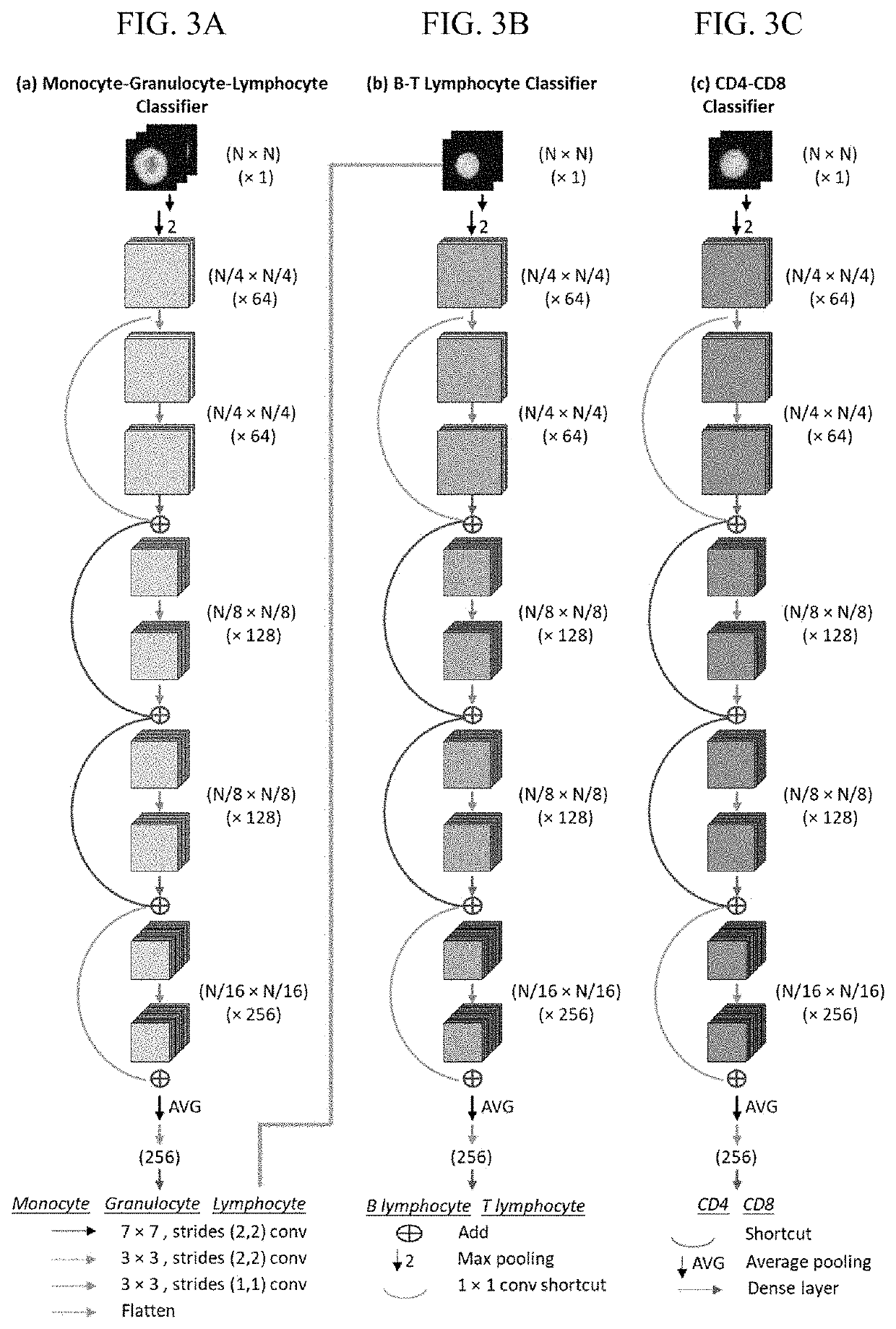 Artificial intelligence enabled reagent-free imaging hematology analyzer