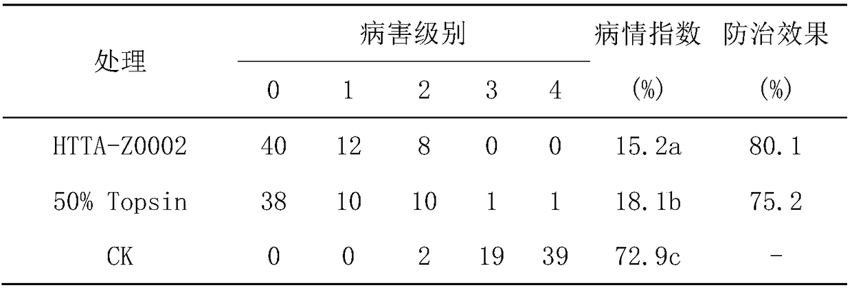 Trichoderma and application thereof