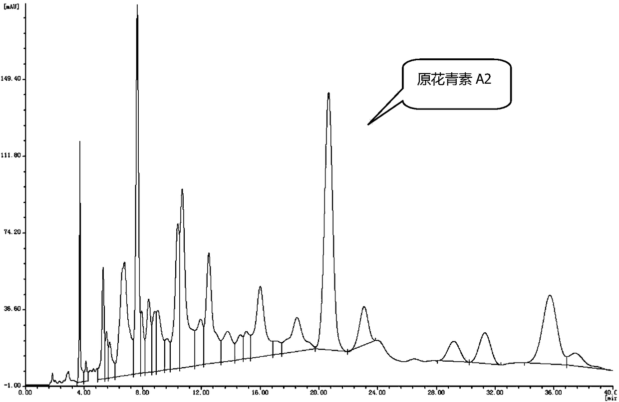 Method for extracting proanthocyanidin A2 from peanut coat