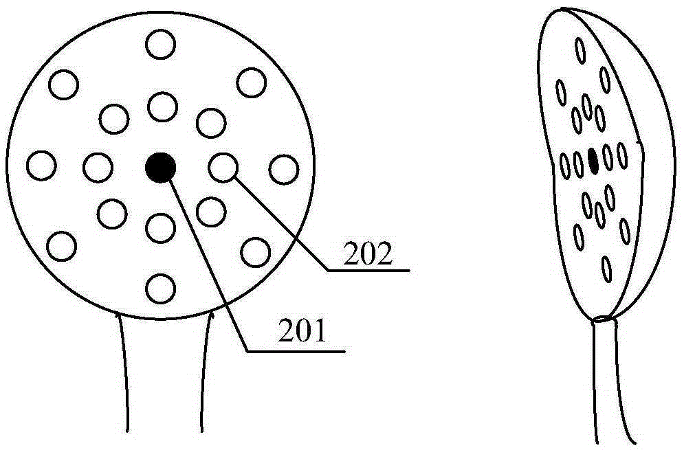 Heart beat frequency spectrum mapping auscultation device and using method thereof