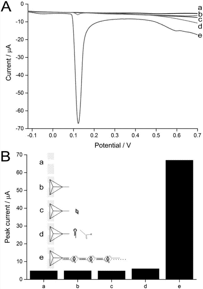 RNA aptamer-based theophylline quantitative detection method