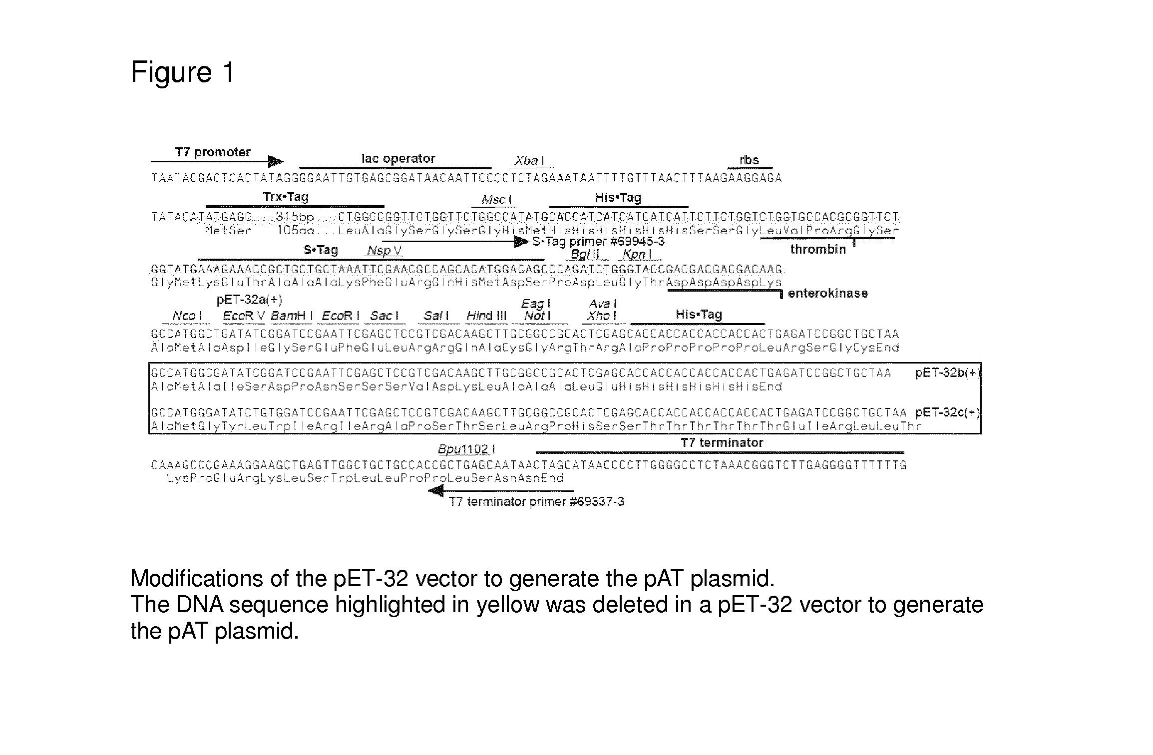 Method for producing oxalate oxidases having activity optimum near physiological ph and use of such recombinant oxalate oxidases in the treatment of oxalate-related diseases