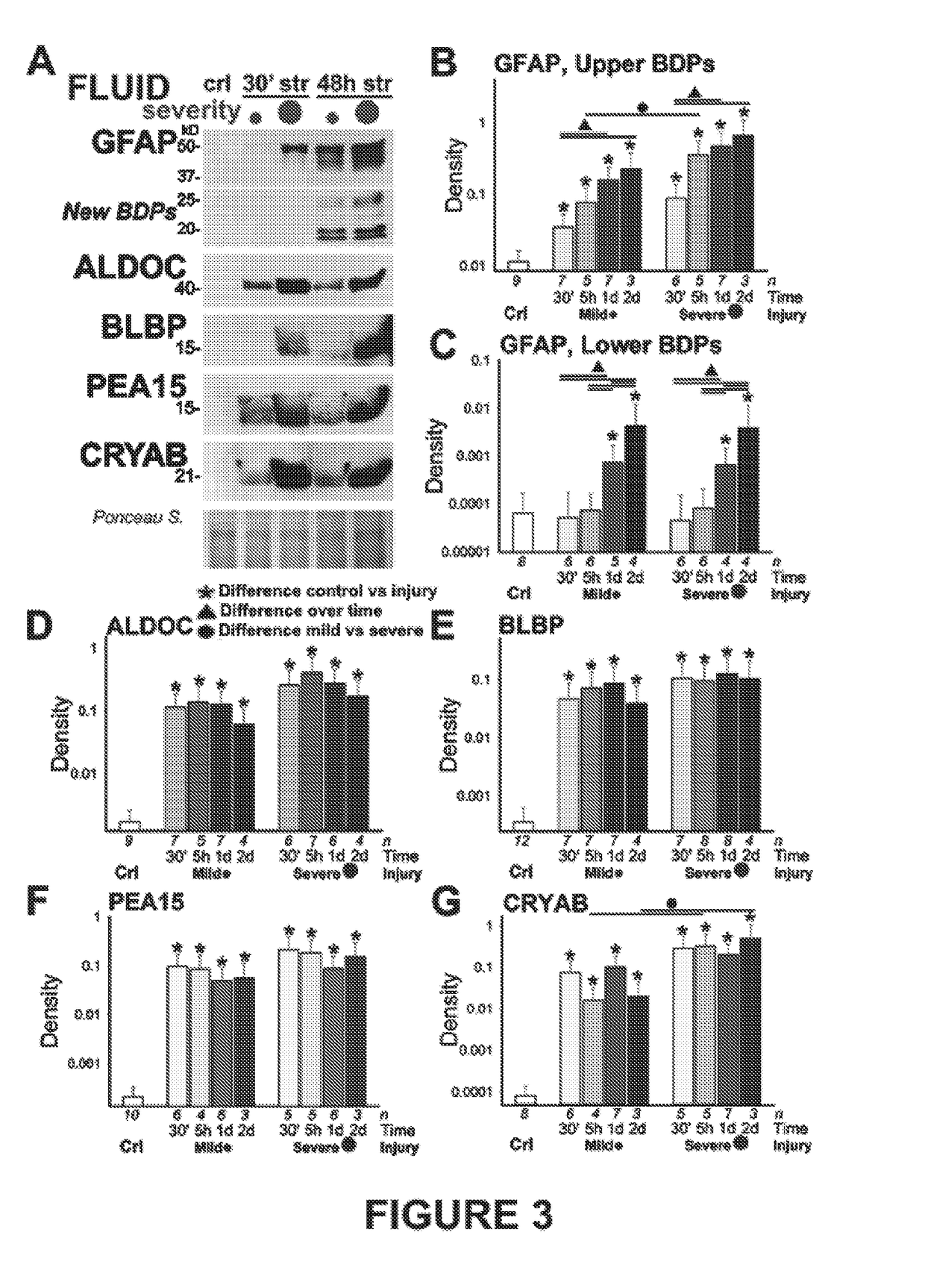 Astrocyte traumatome and neurotrauma biomarkers