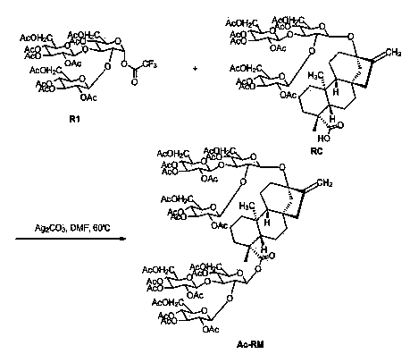 Process for preparing rebaudioside M