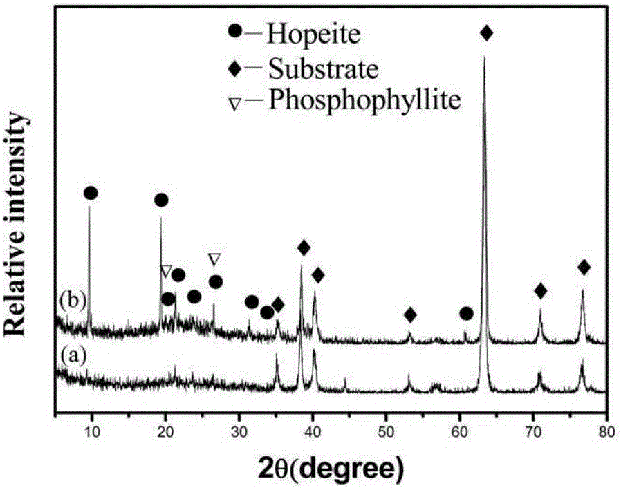 Preparation method for inducing titanium or titanium alloy surface chemical conversion film by virtue of electric coupling