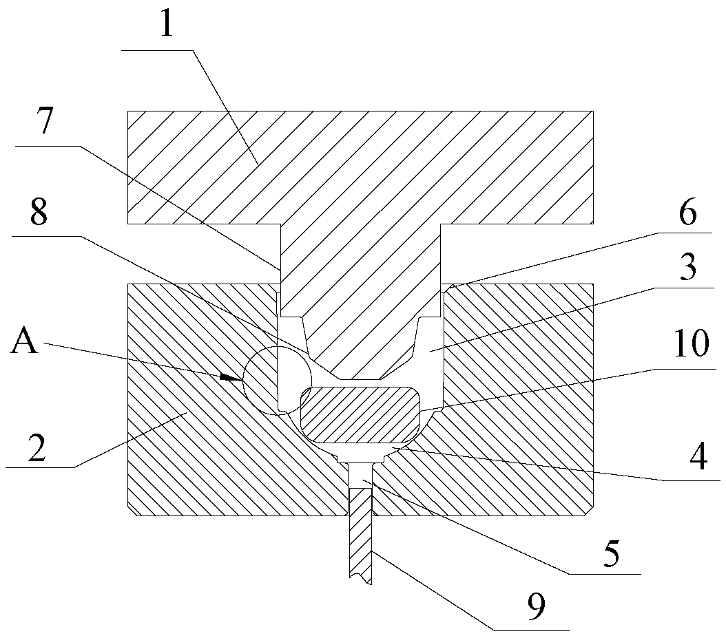 Metal acetabular outer cup closed-type forging die and method