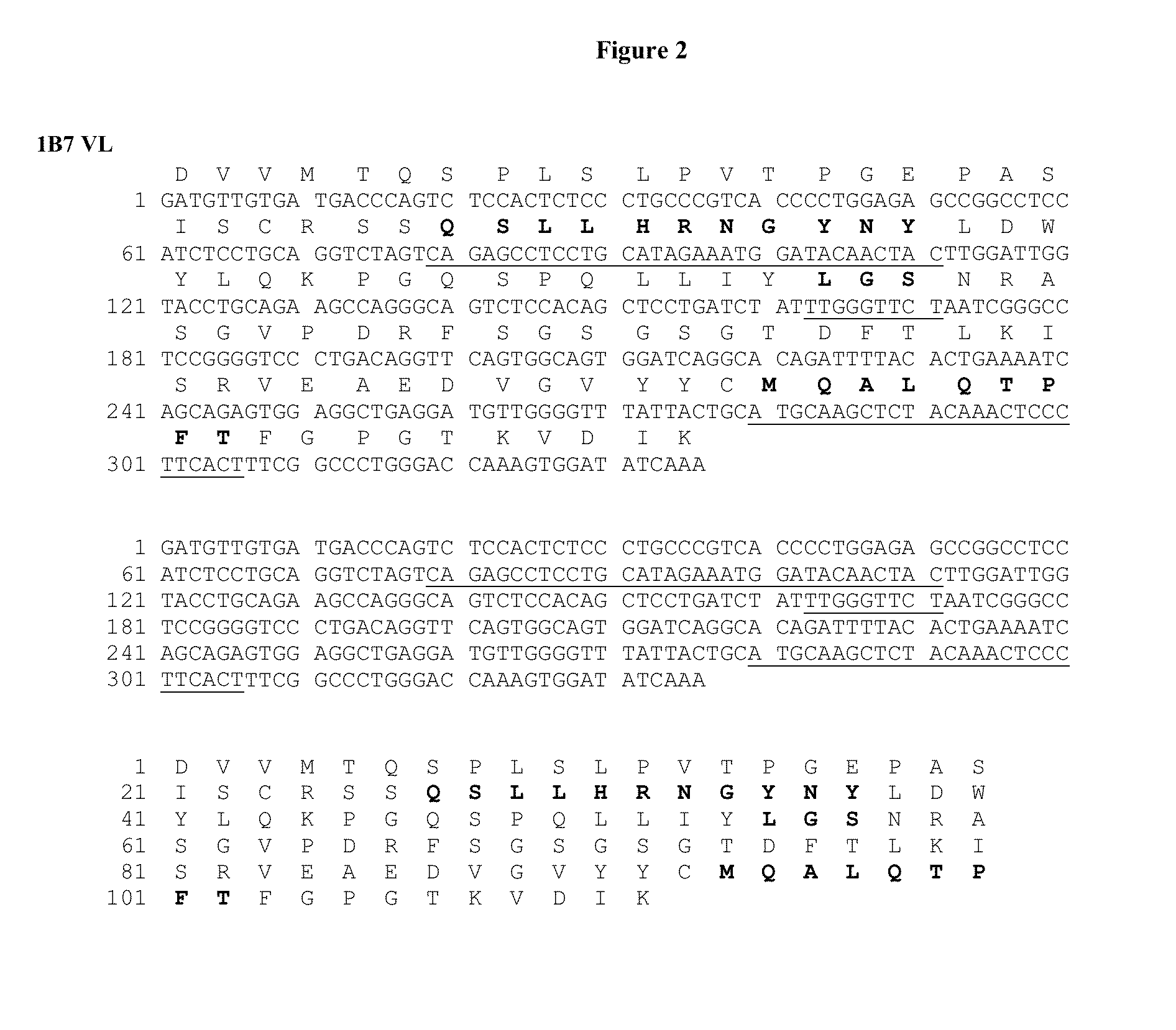 Human monoclonal antibodies to ganglioside gd2