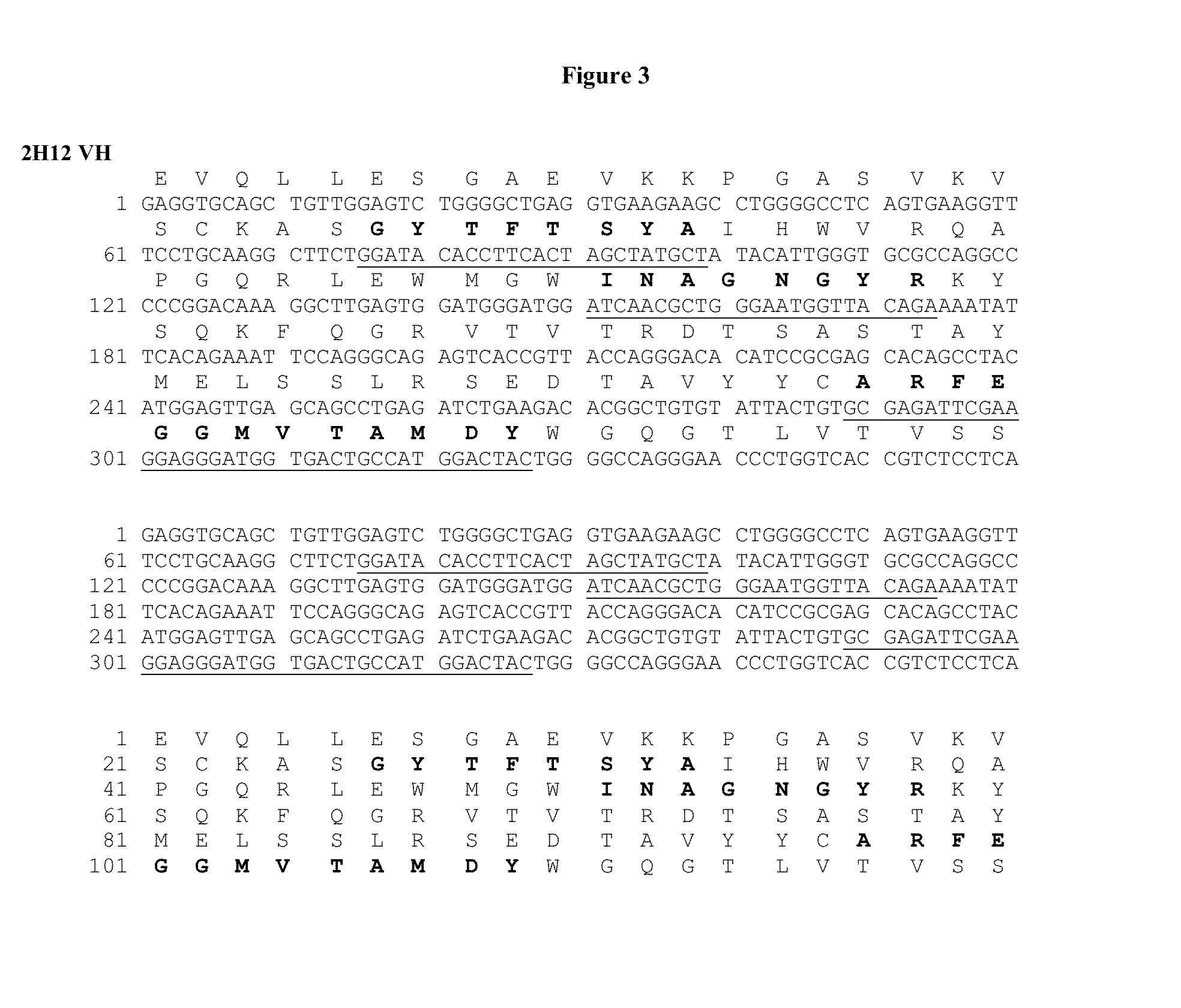 Human monoclonal antibodies to ganglioside gd2