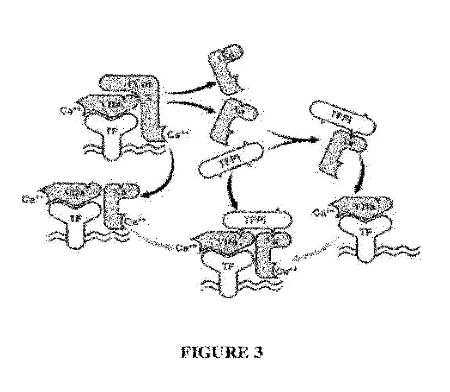 TFPI inhibitors and methods of use