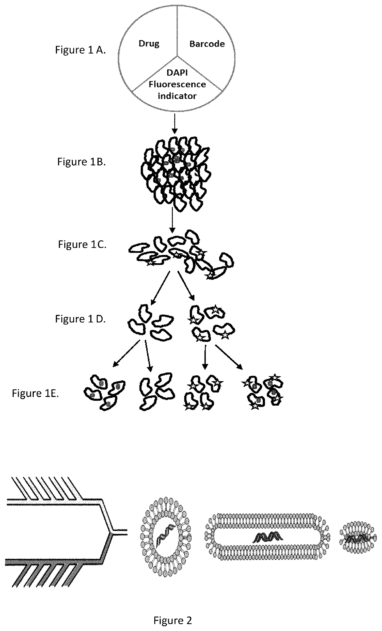 Compositions and methods for therapeutics prescreening