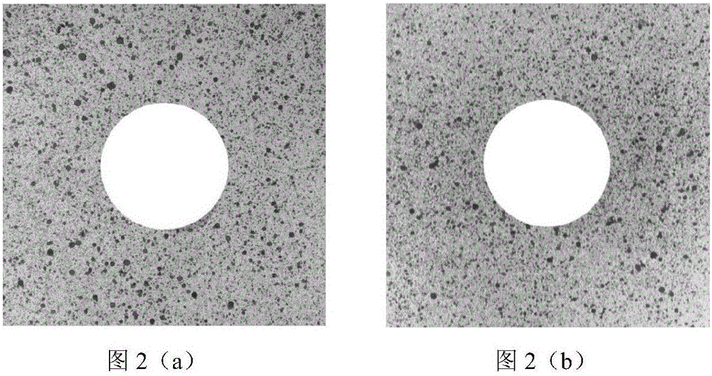 Optical measurement method for strain rate field inside object with parallel front and back surfaces