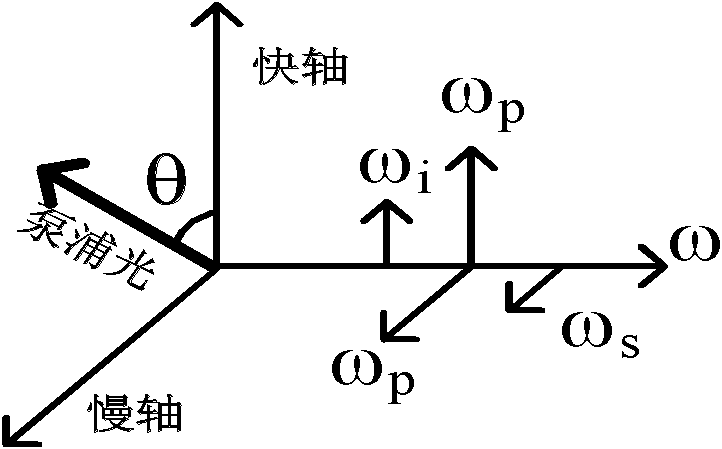 Polarization-entangled quantum light source