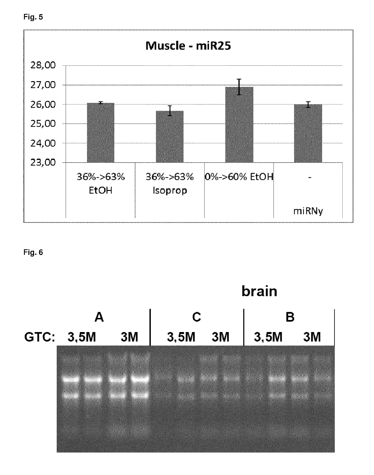 Method for isolating RNA including small RNA with high yield