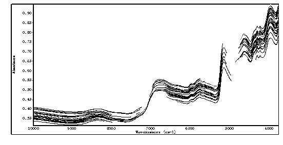 Method for monitoring tea production in real time by adopting near infrared spectrum