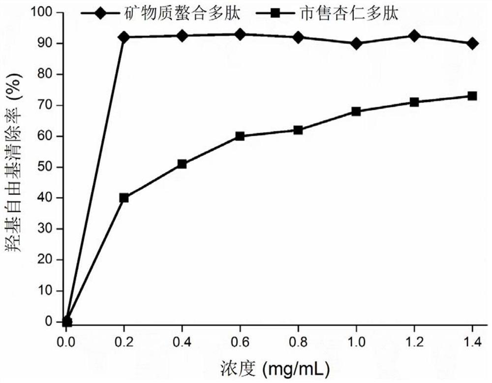 Ultrasonic-assisted mineral chelated almond peptide as well as preparation method and application thereof