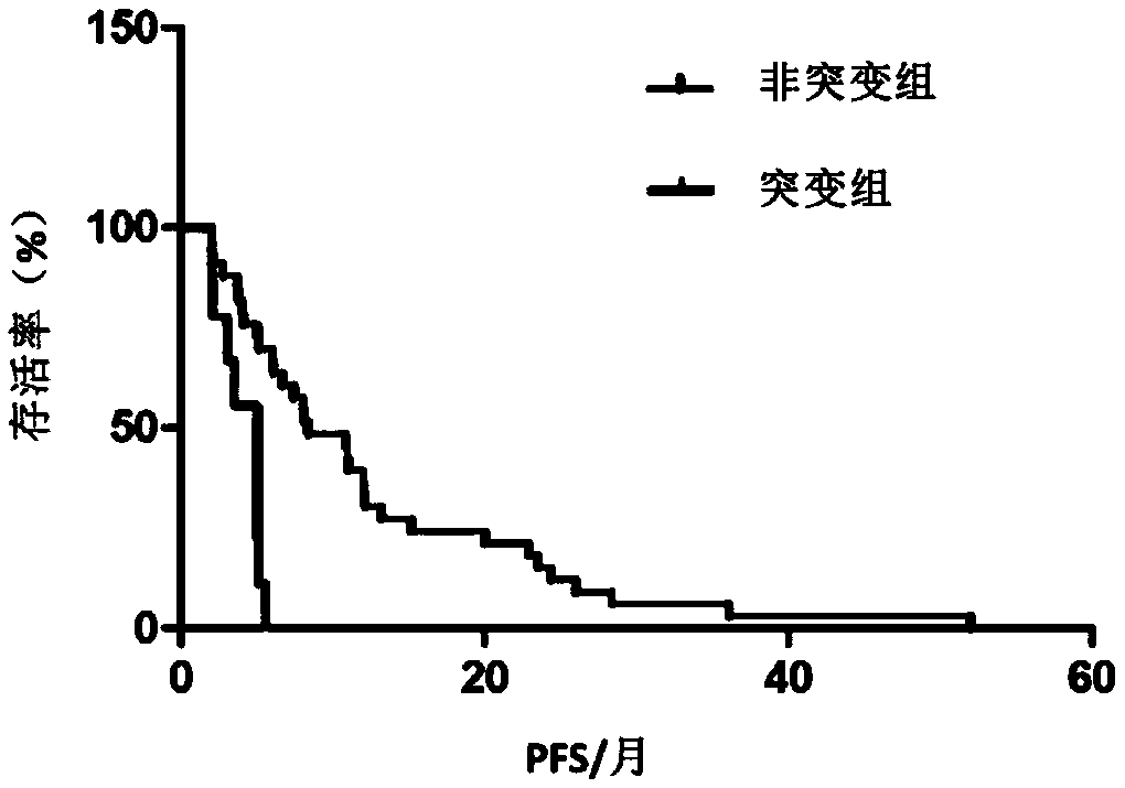 Gene mutation site for predicting anti-HER2 therapeutic drug reactivity of patients with breast cancer and application thereof