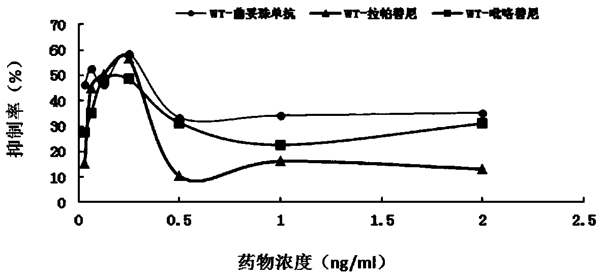 Gene mutation site for predicting anti-HER2 therapeutic drug reactivity of patients with breast cancer and application thereof