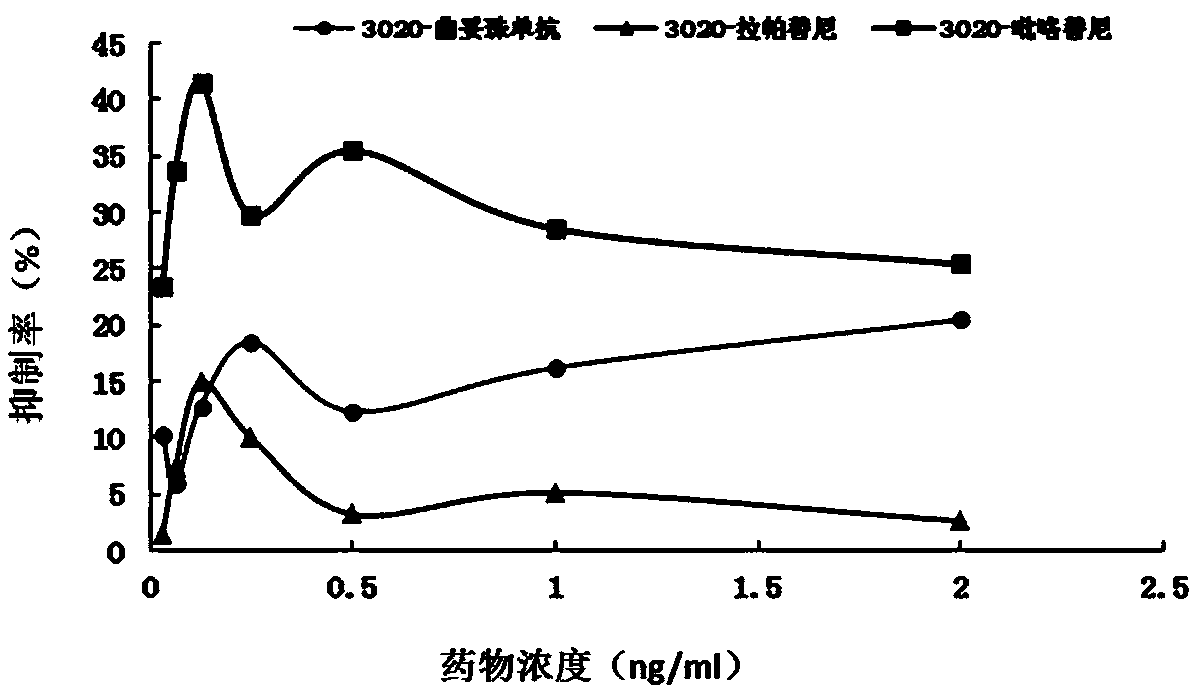 Gene mutation site for predicting anti-HER2 therapeutic drug reactivity of patients with breast cancer and application thereof