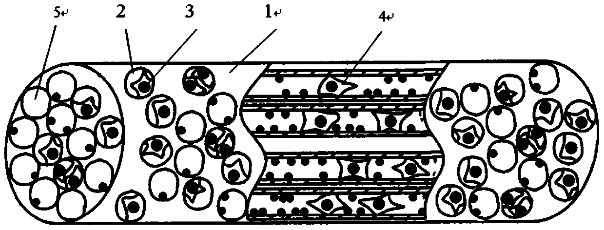 Sericin/nano-hydroxyapatite tissue engineering bone graft as well as preparation method and application thereof