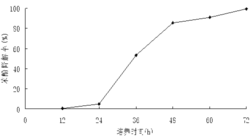 Immobilized cell of mutagenized bacterium M1 of Rhodococcus ruber SD3 and application thereof in degradation of phenol pollutants