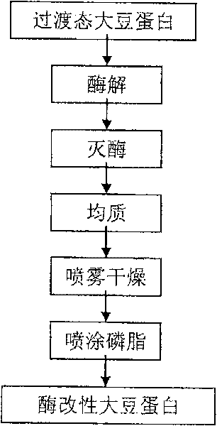 Enzyme modification method for preparing low gel property high dispersancy soy protein