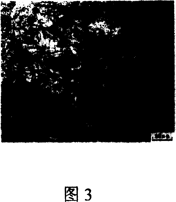 Method for manufacturing blade forging of heavy type combustion engine