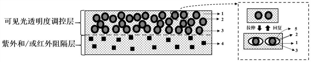 A highly sensitive mechanically regulated smart window film and its preparation method