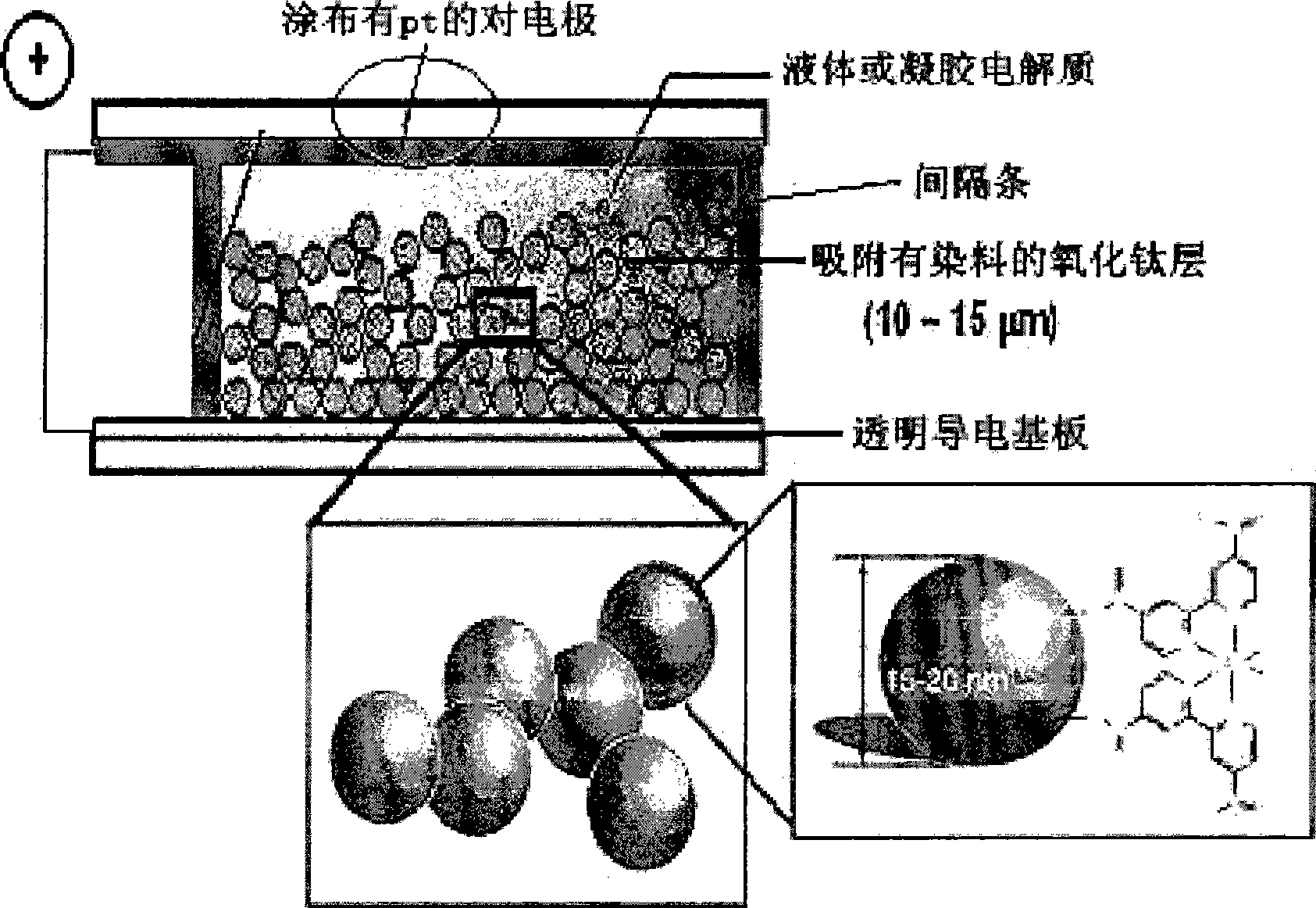 Dye-sensitized solar cell with metal oxide layer containing metal oxide nanoparticles produced by electrospinning and method for manufacturing same