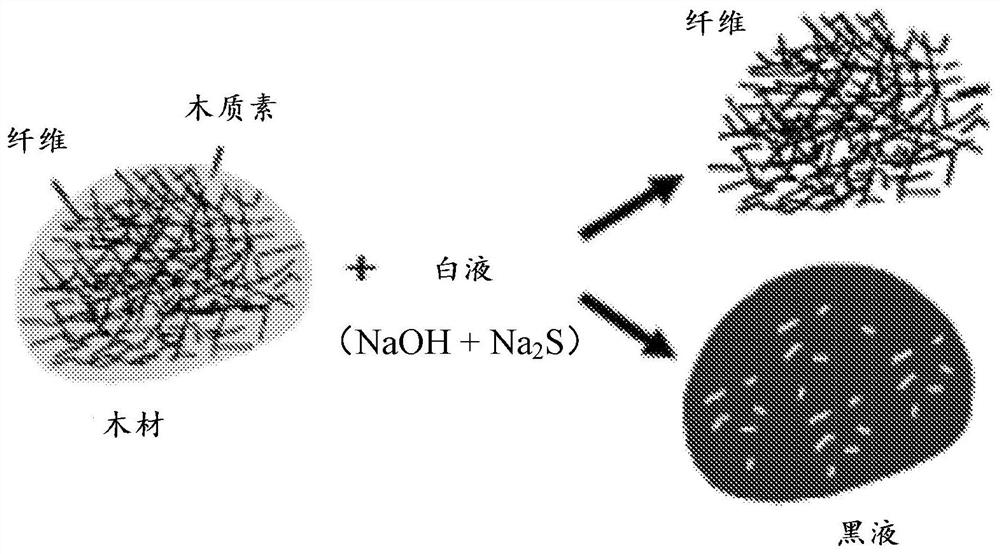 Kraft pulp mill scale control with end group modified polycarboxylates