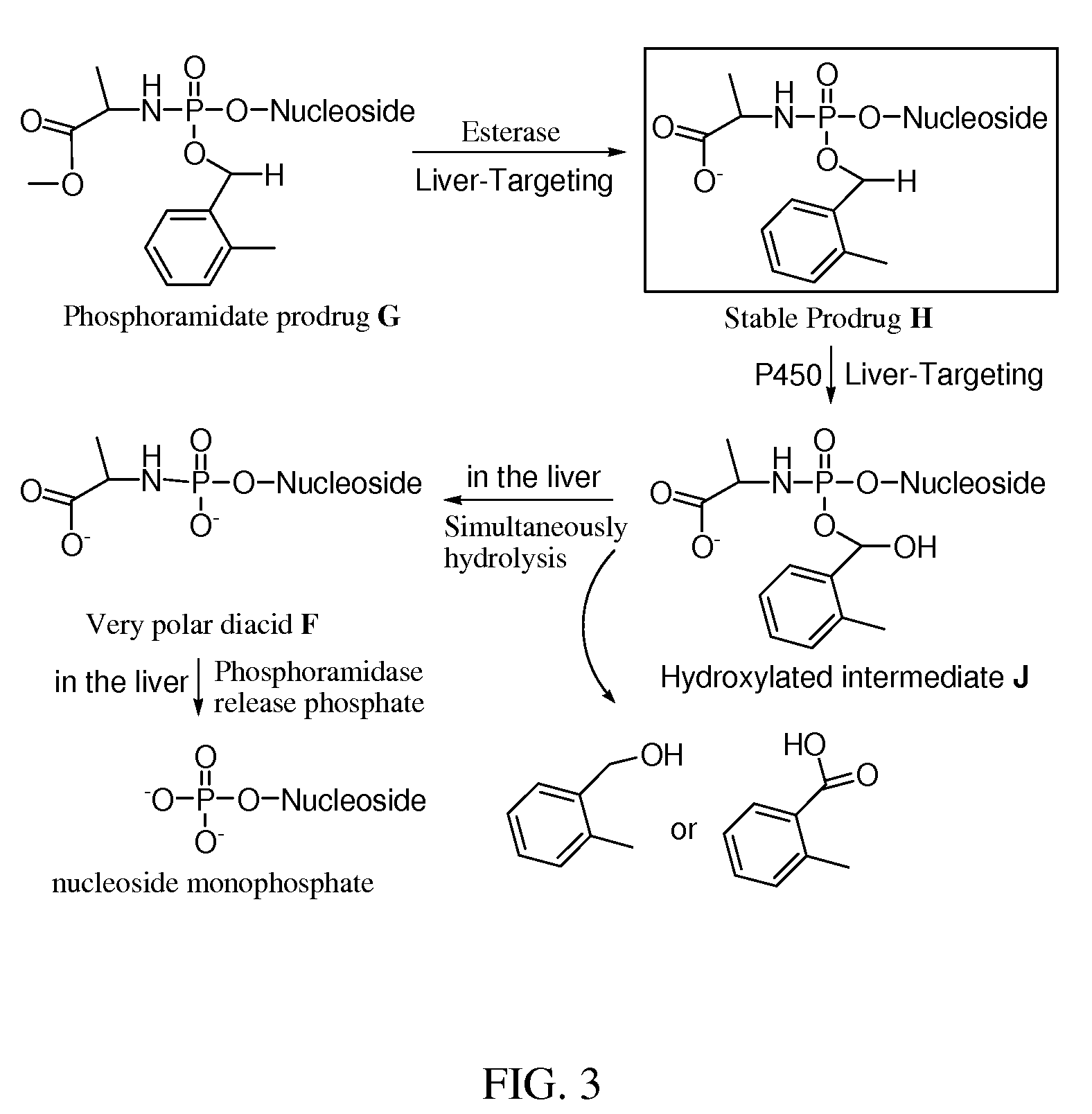 Double-liver-targeting phosphoramidate and phosphonoamidate prodrugs