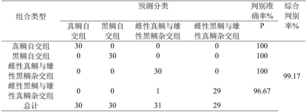 Method for discriminating acanthopagrus schlegelii, pagrosomus major and hybrid offsprings thereof based on morphological parameters