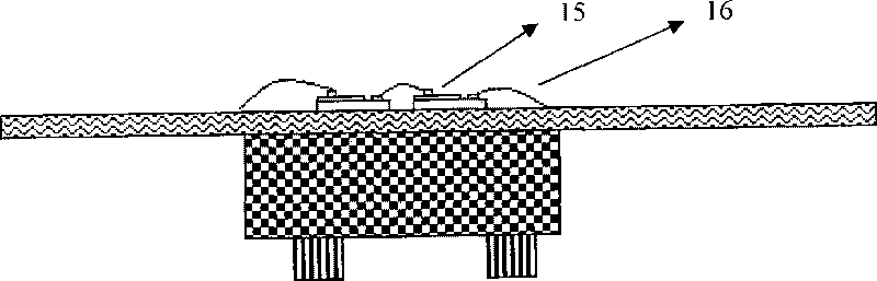 LED (Liquid Emitting Diode) white light bulb and production method thereof