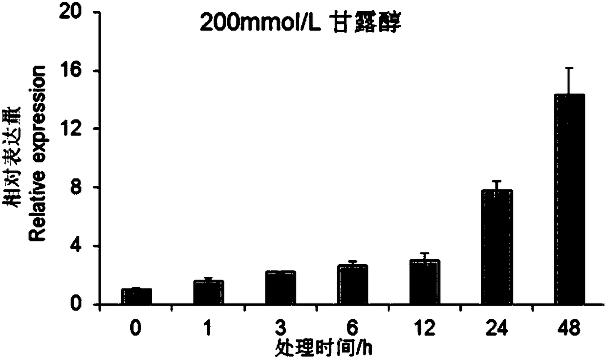 Application of pyrus betulaefolia Pb4RMYB gene and encoded protein thereof in enhancement of plant salt tolerance