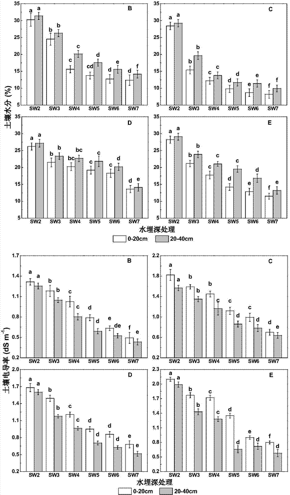 Method for determining water burial depth most appropriate for growth of cotton in seaside saline and alkaline land