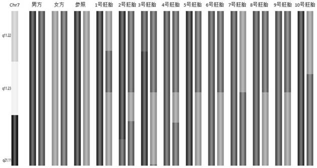 Method for identifying CNV microdeletion and microduplication syndrome diseased embryo and normal embryo