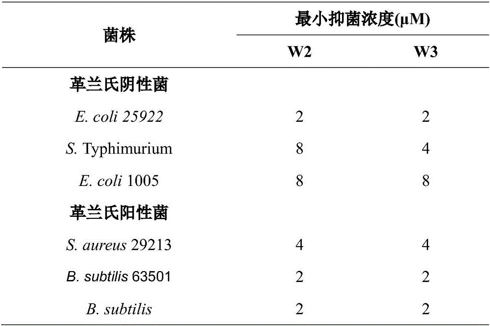 Multi-stranded beta-hairpin short-peptide with tolerant protease and preparation method and application