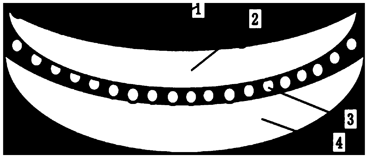 Amnion contact lens, preparation method and application